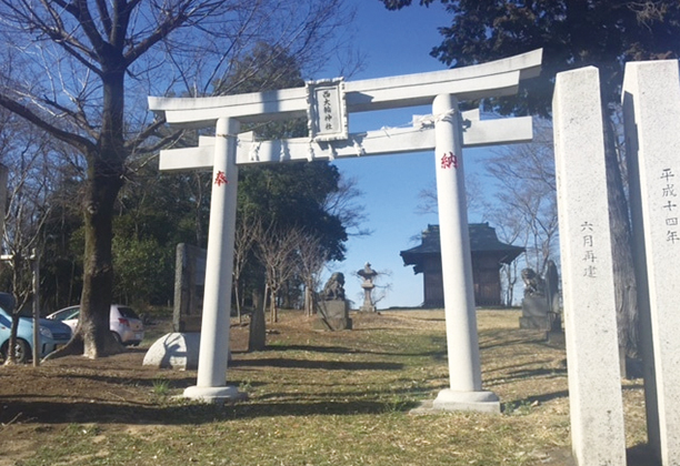 中川低地の河畔砂丘群　西大輪砂丘